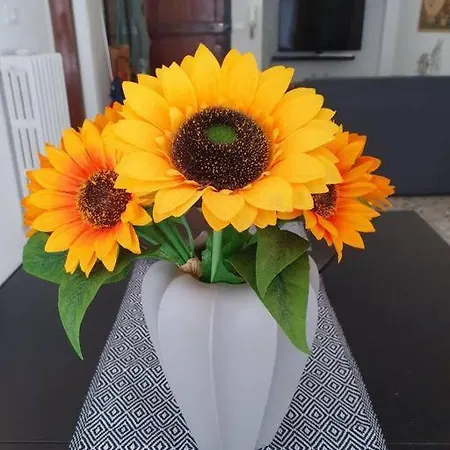 Casa Girasole *